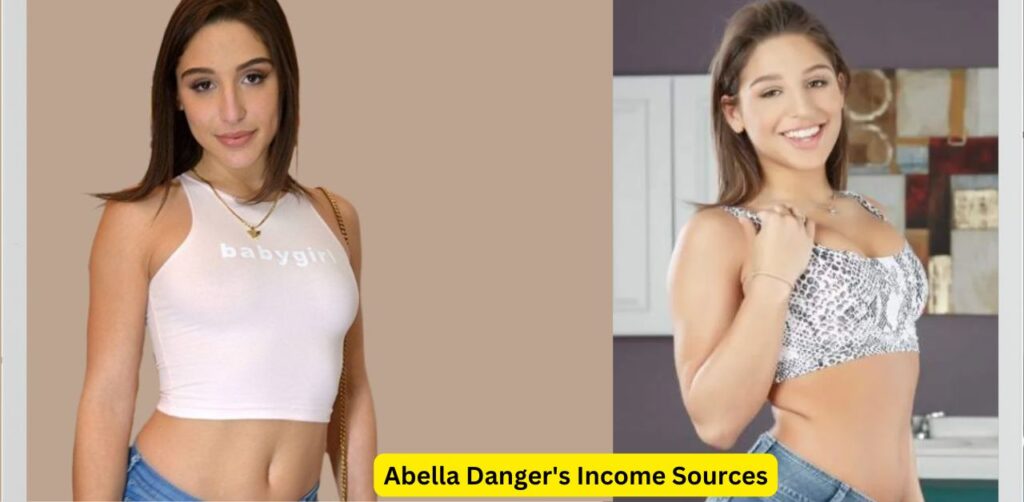 Abella Danger's Income Sources