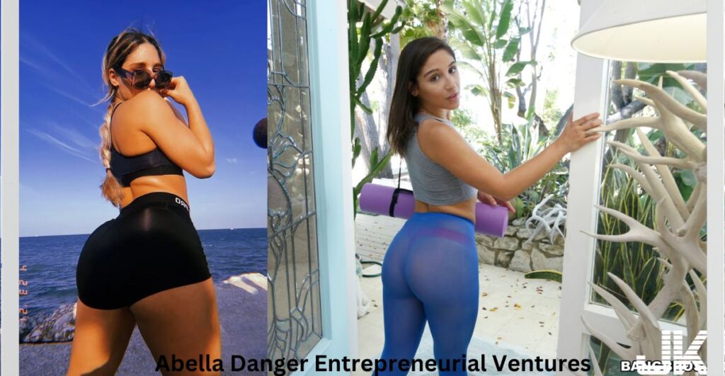 Abella Danger Entrepreneurial Ventures and Future Predictions