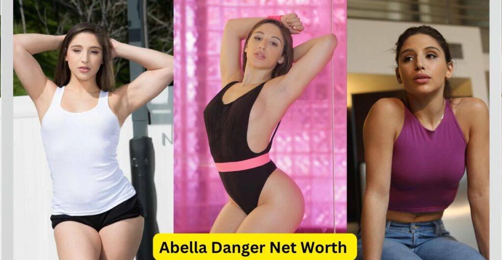 Abella Danger Net Worth Estimation