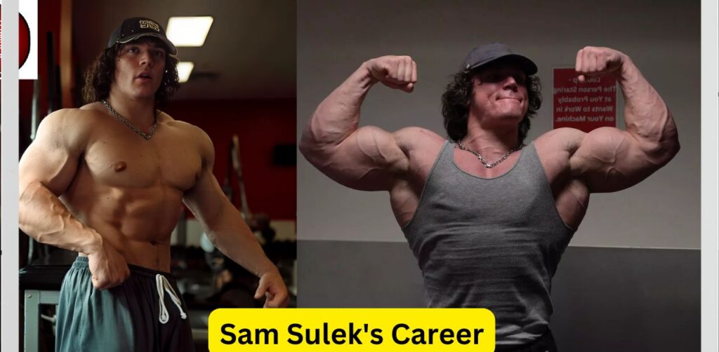 Sam Sulek's Career