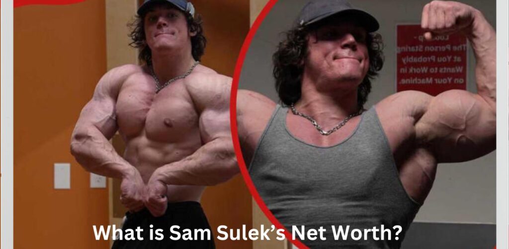 What is Sam Sulek’s Net Worth